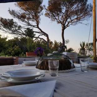 Фотографии мини отеля 
            Villa Eugenia