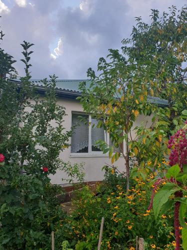 Фотография гостевого дома На Заозерной, 16