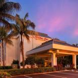 Фотография гостиницы Hampton Inn Naples-Central