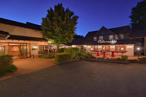 Фотография гостиницы Hotel Pfeffermühle