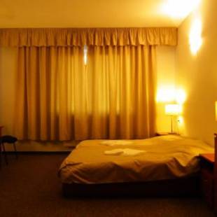 Фотографии мини отеля 
            Hotelik Gold