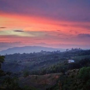 Фотография хостела La Pacha Hostel