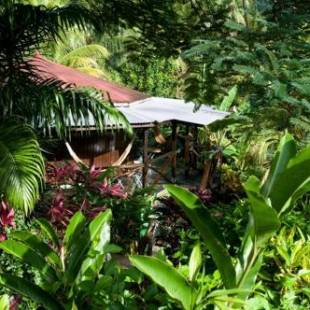 Фотографии мини отеля
Hibiscus Valley Inn