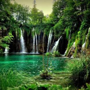 Фотографии гостевого дома
Villa Ruhige Lage 1