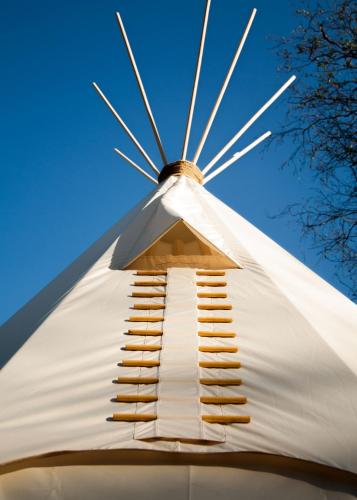 Фотографии кемпинга 
            Папоротник