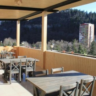 Фотография гостиницы Боржоми Сити