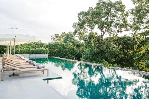 Фотография гостиницы Treeline Urban Resort