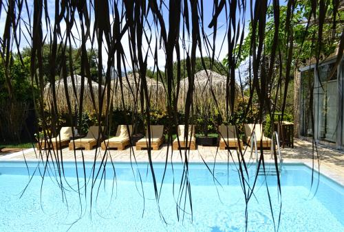 Фотография гостевого дома Turdus Merula Retreat