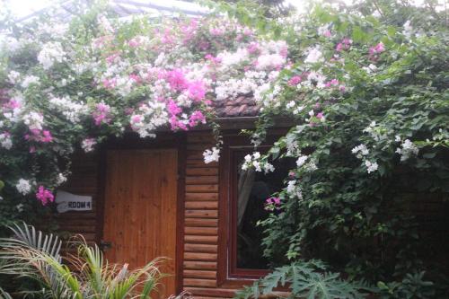 Фотография базы отдыха Green Peace Bungalow