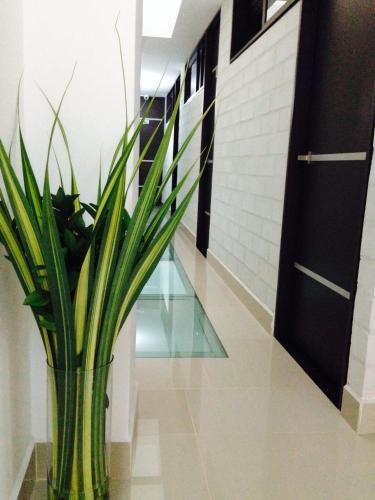 Фотография гостиницы Ayenda 1254 Mi Colombia