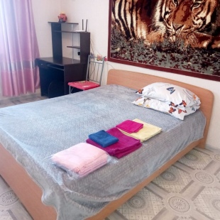 Фотография квартиры Апартаменты на Пилотов 12