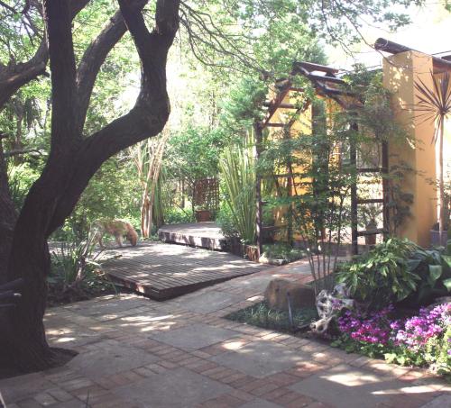 Фотография мини отеля Jedidja Bed and Breakfast