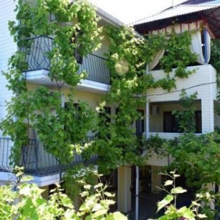 Фотография гостиницы Колнышко