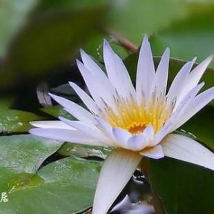 Фотографии мини отеля
Chuan Ya Ju Homestay