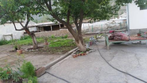 Фотография гостевого дома Guest House Ata Konush