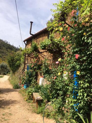 Фотография мини отеля Guest Room B&B Agro-turismo Quinta da Fonte