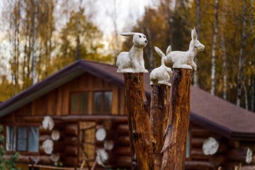 Фотографии гостиницы 
            Парк-отель Мазай