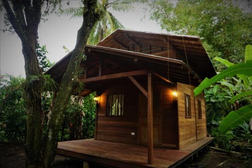 Фотографии мини отеля 
            La tarima del colibri