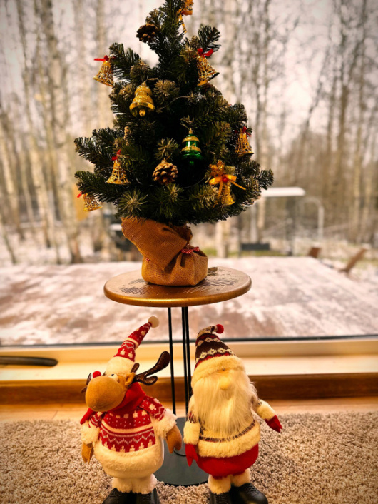 Фотографии Коттеджа 
            Частный дом для двоих