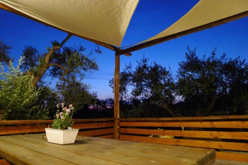 Фотография гостевого дома Ampoulos Rooms & Apartments