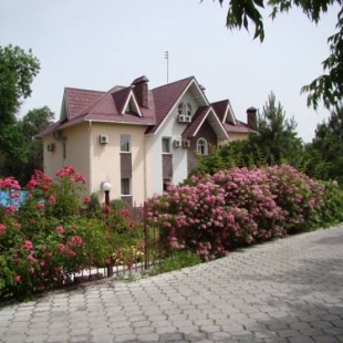 Фотография гостиницы Asia Mountains 1