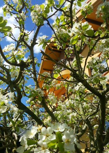 Фотография гостевого дома Posada Las Garzas