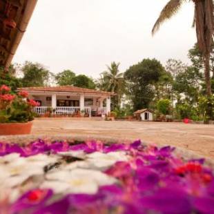 Фотографии мини отеля
The Blue Mountains Estate Stay