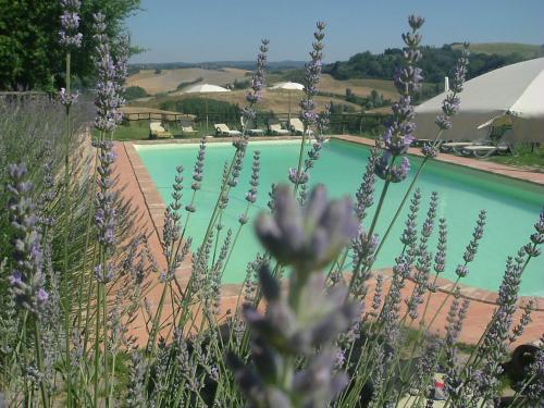 Фотография апарт отеля Antonella House -Podere della Collina