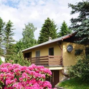 Фотографии гостевого дома 
            Bungalow im Thüringer Wald/ Haus Selma