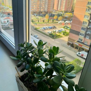 Фотография квартиры Апартаменты в Губернском