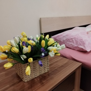 Фотография квартиры Апартаменты Цветник Кирова