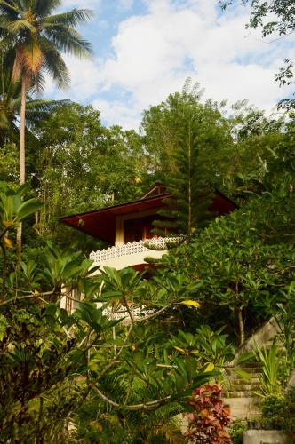 Фотография мини отеля Tangkoko Sanctuary Villa