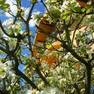 Фотографии гостевого дома 
            Posada Las Garzas