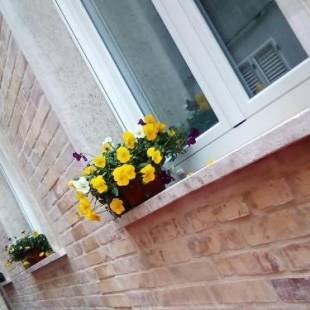 Фотографии мини отеля
Officina Urban Sleep