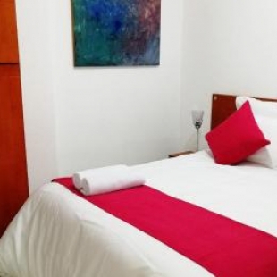 Фотография гостиницы Hotel Amazon