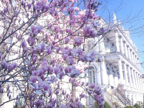 Фотография гостиницы Palais Coburg Hotel Residenz