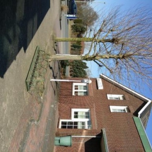 Фотография гостиницы Hotel Rotbuche