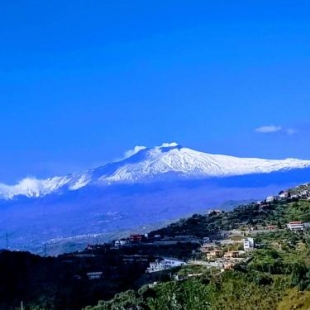 Фотография мини отеля Villa Giorgia