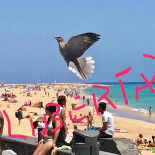 Фотографии гостевого дома
Il Paradiso Esiste