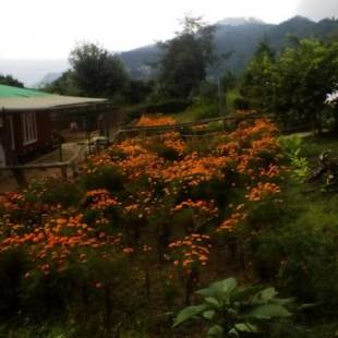 Фотографии мини отеля 
            Vamoose Dilpali Homestay