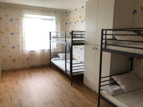 Фотографии хостела
Роща