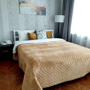 Фотография квартиры Апартаменты уютные и вместительные у самого метро Академия наук