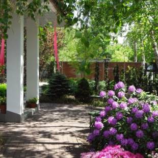 Фотографии гостиницы
Hotel Flora