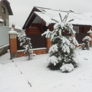 Фотография гостевого дома Шале в городе
