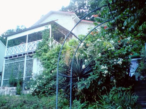 Фотографии гостевого дома
Ривьера