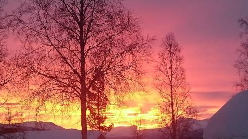 Фотография гостиницы Bardufosstun