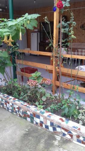 Фотография гостевого дома Дом у моря