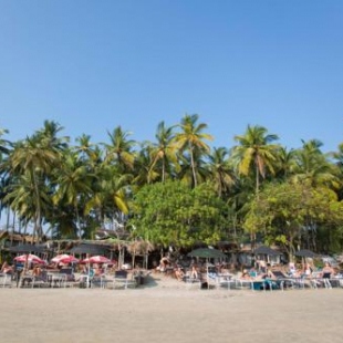 Фотография мини отеля Cozy Nook Goa