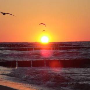 Фотографии гостевого дома
Küstenhaus Koserow