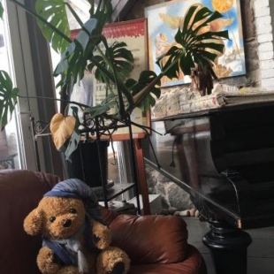 Фотография гостевого дома Отрада и Утешение 